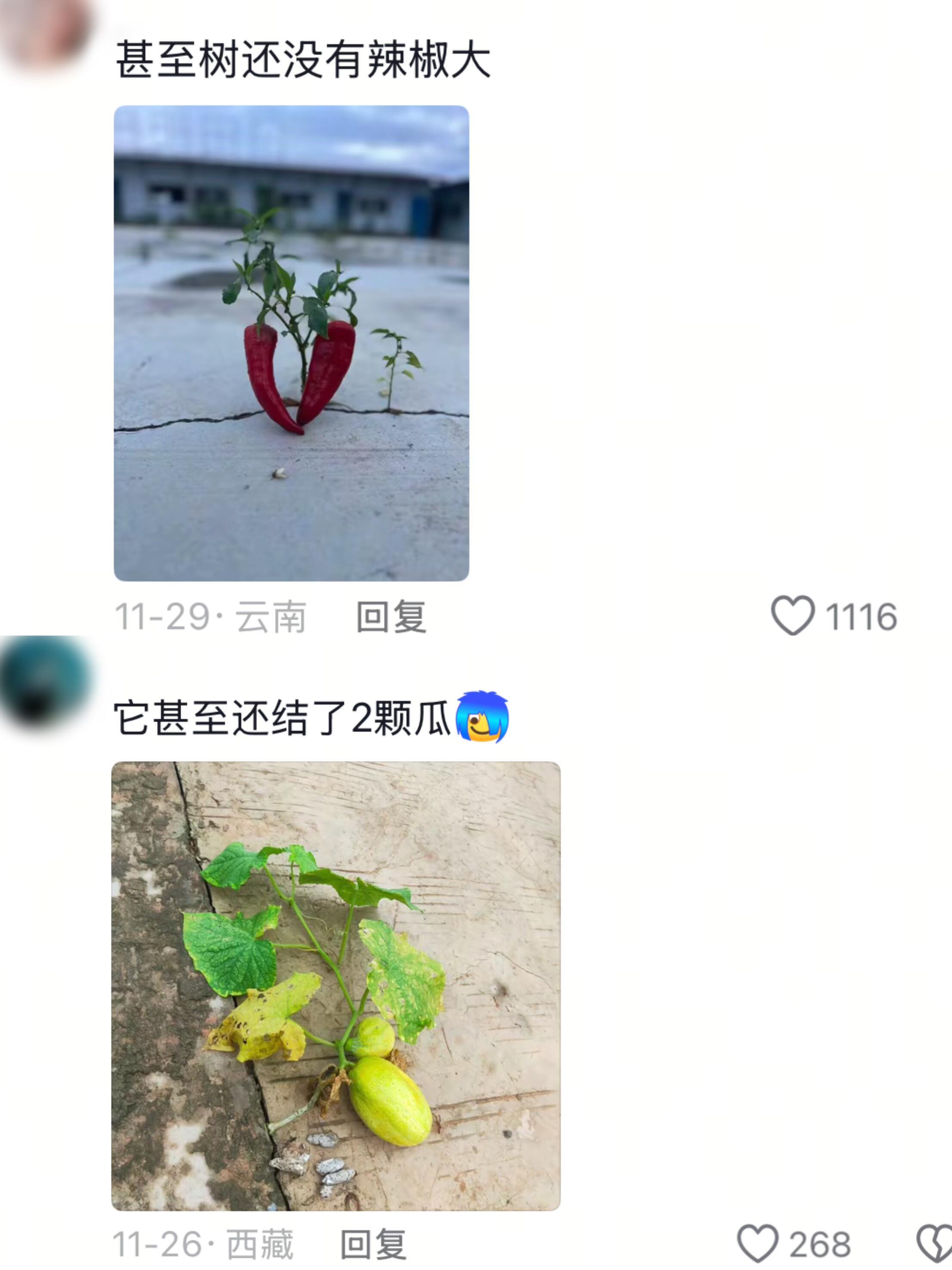 生命自会寻找出路 