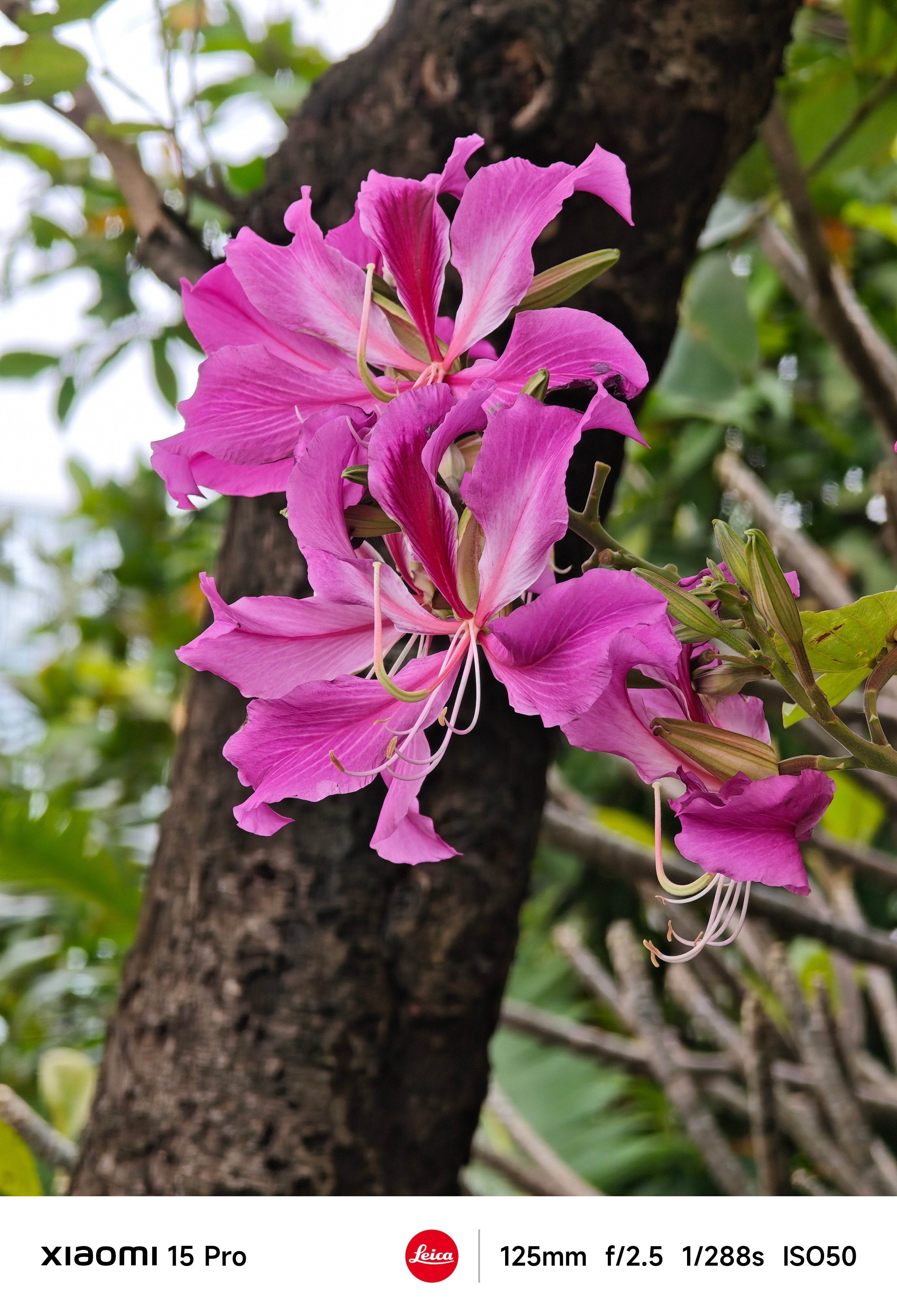 陈震为表述不清道歉不管出于什么原因，我建议把这几天的微博流量阅读收入给捐了，不过