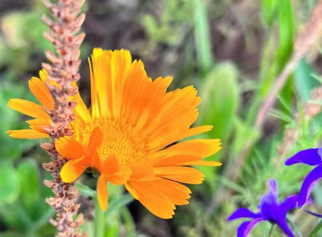 夫妻没有感情了，又不想离婚，那就这么过？这个问题，似乎成了许多家庭的“无声困境”