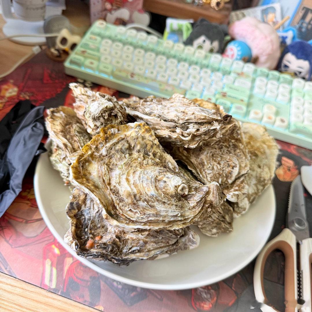 吃到昏厥……今年再也不想看到生蚝了