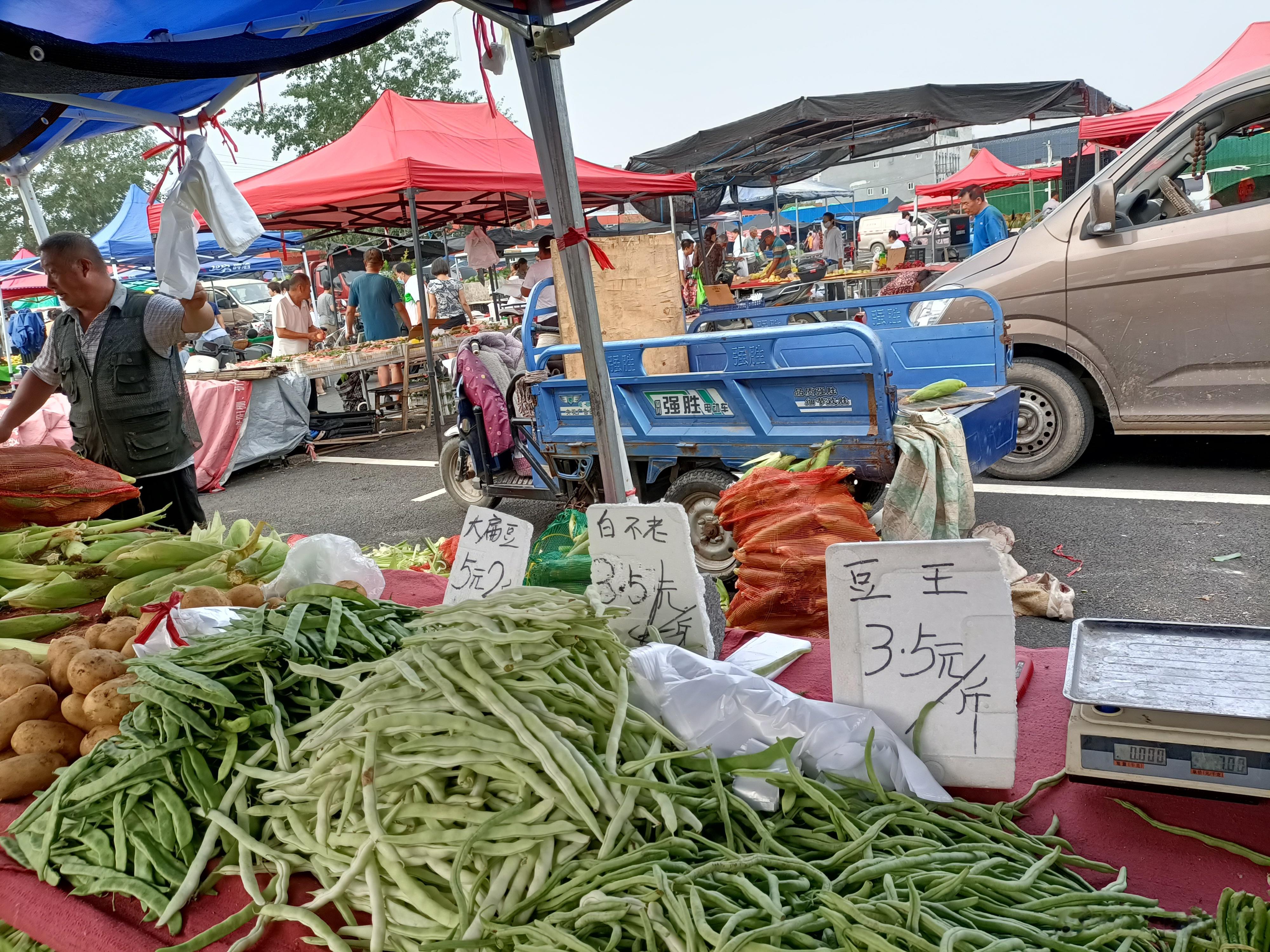 #赶集# 去了露天菜市场，蔬菜价格不贵，茴香苗例外，今天7元一斤，摊主说，还数今