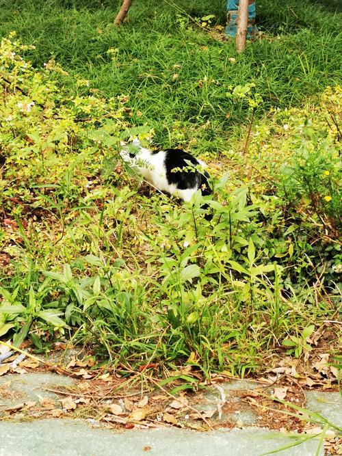 年轻人是否一定要给老年人让座，并非绝对的道德强制，而是道德倡导与现实情况结合的问