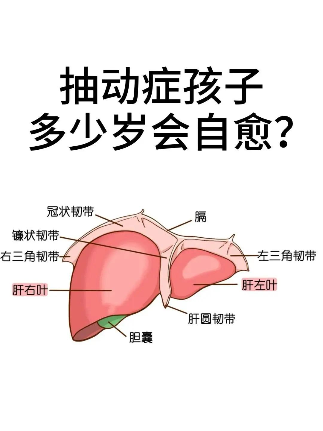 经常有家长说，不用药孩子到了青春期自己就好了！真的是这样吗？很多家长说...