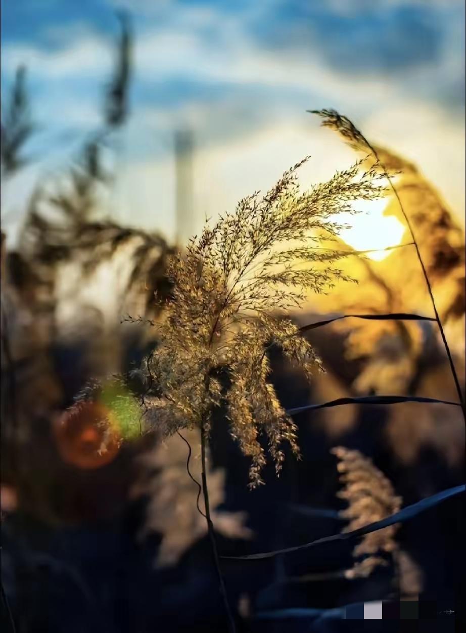 经济暖不暖，别看报表看人间！
 
想知道经济有没有回暖，根本不用听专家分析，市井