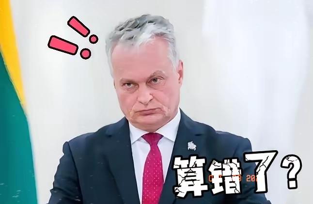 立陶宛正式宣布了 

宣布禁止使用中国的零件，涵盖风能与太阳能设备领域。

立陶