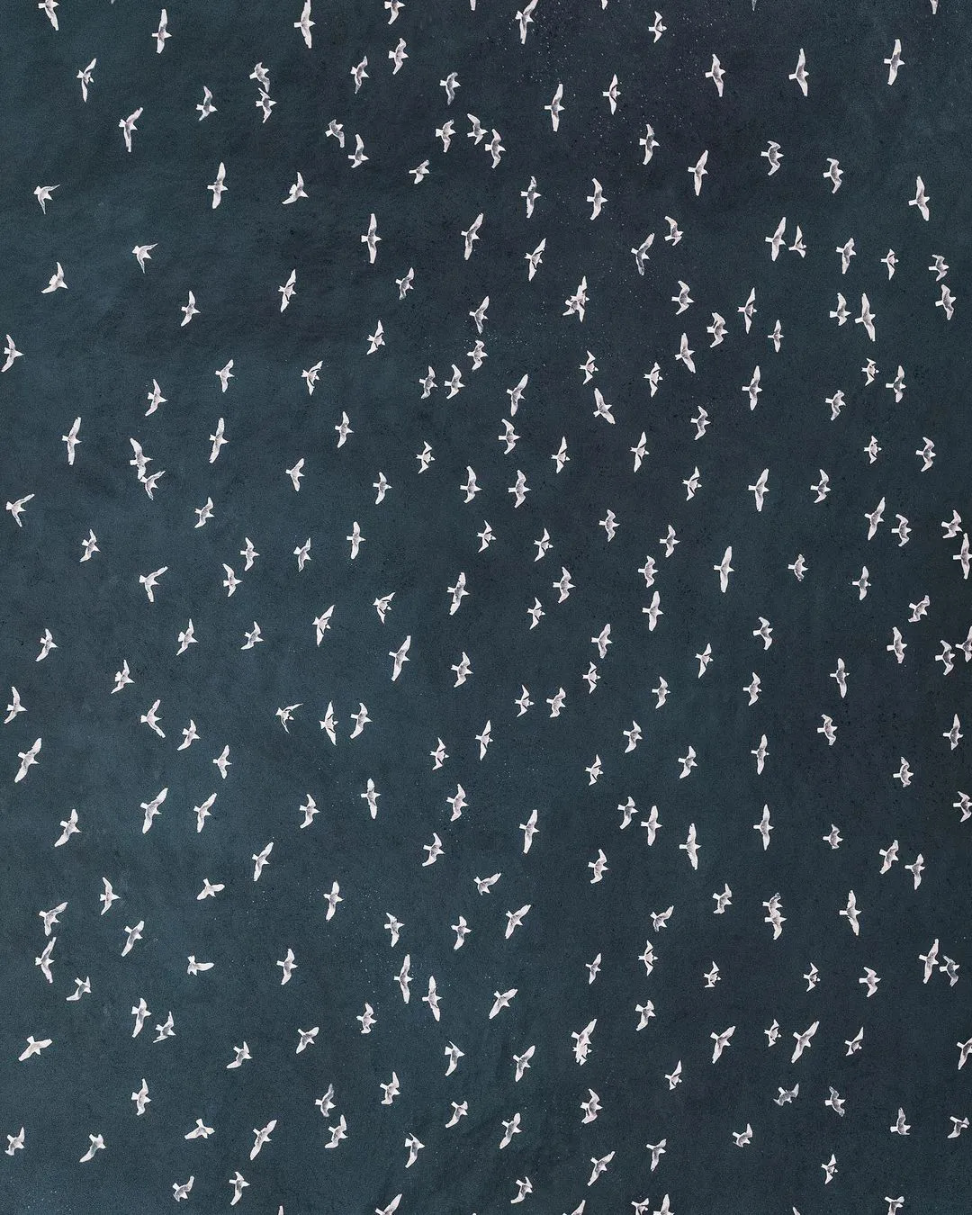 让人莫名舒适的构图艺术 ｜Abstract Aerial Art  