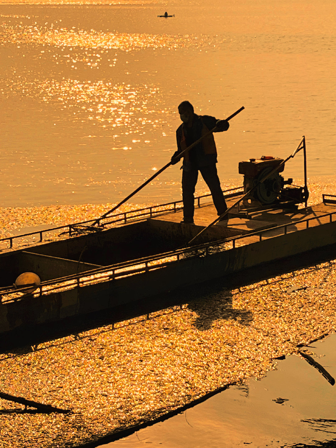 过的好的人，没时间关注别人的生活，也没精力沉浸于过去的伤害。过的好的人，过去的所