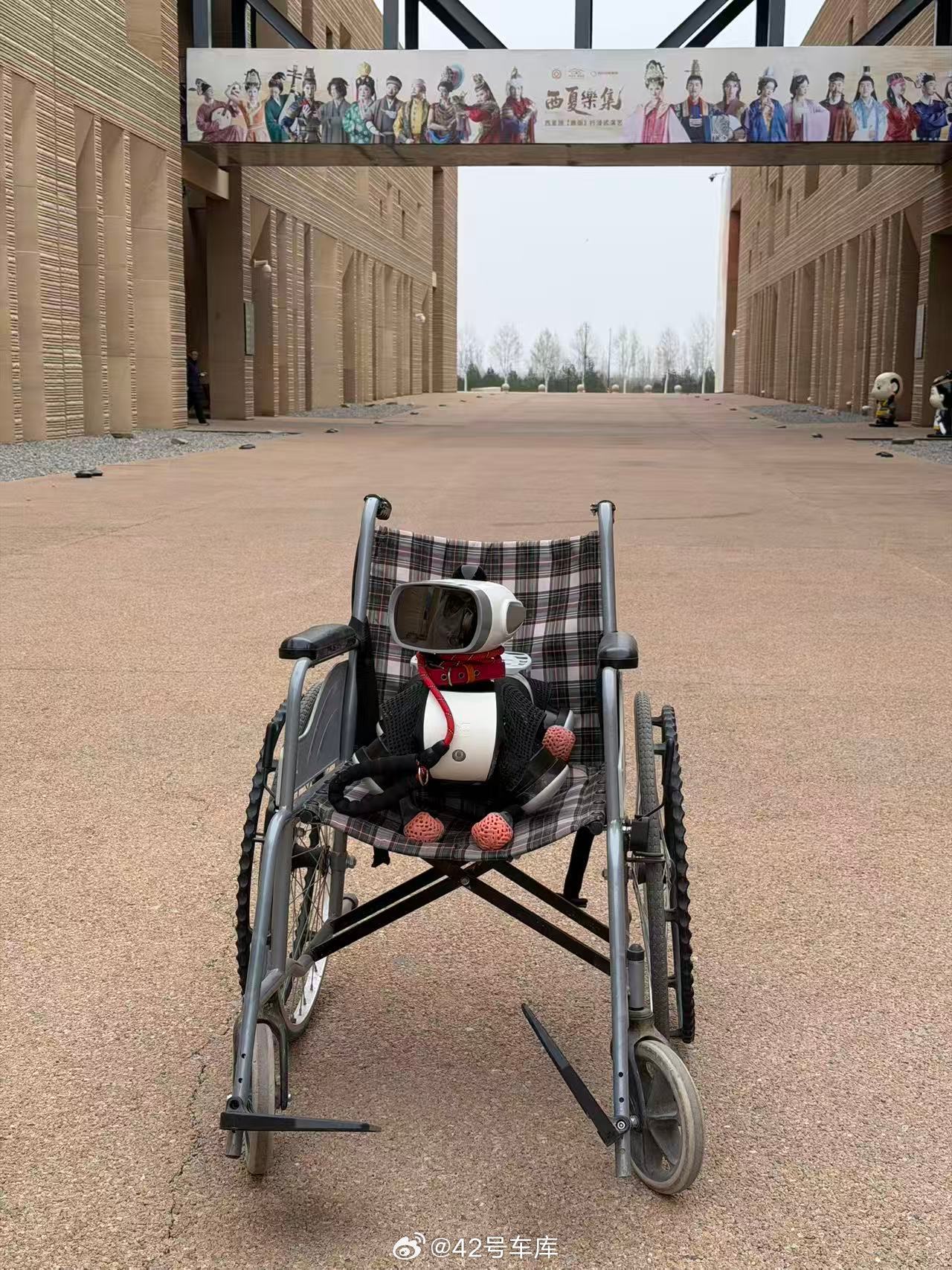 当你没充满电，就带大头去景区评论区加入维他动力兴趣群机器人维他动力vbot维他动