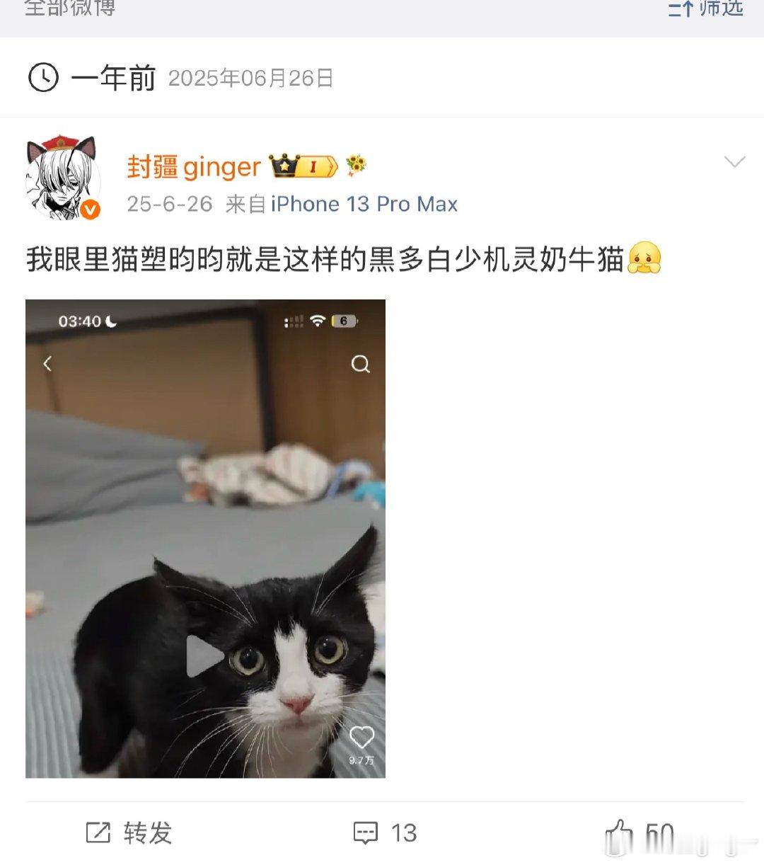 虽然你们都塑昀是三花大美女，但我还是觉得他是时不时会魔丸神经一下的奶牛猫