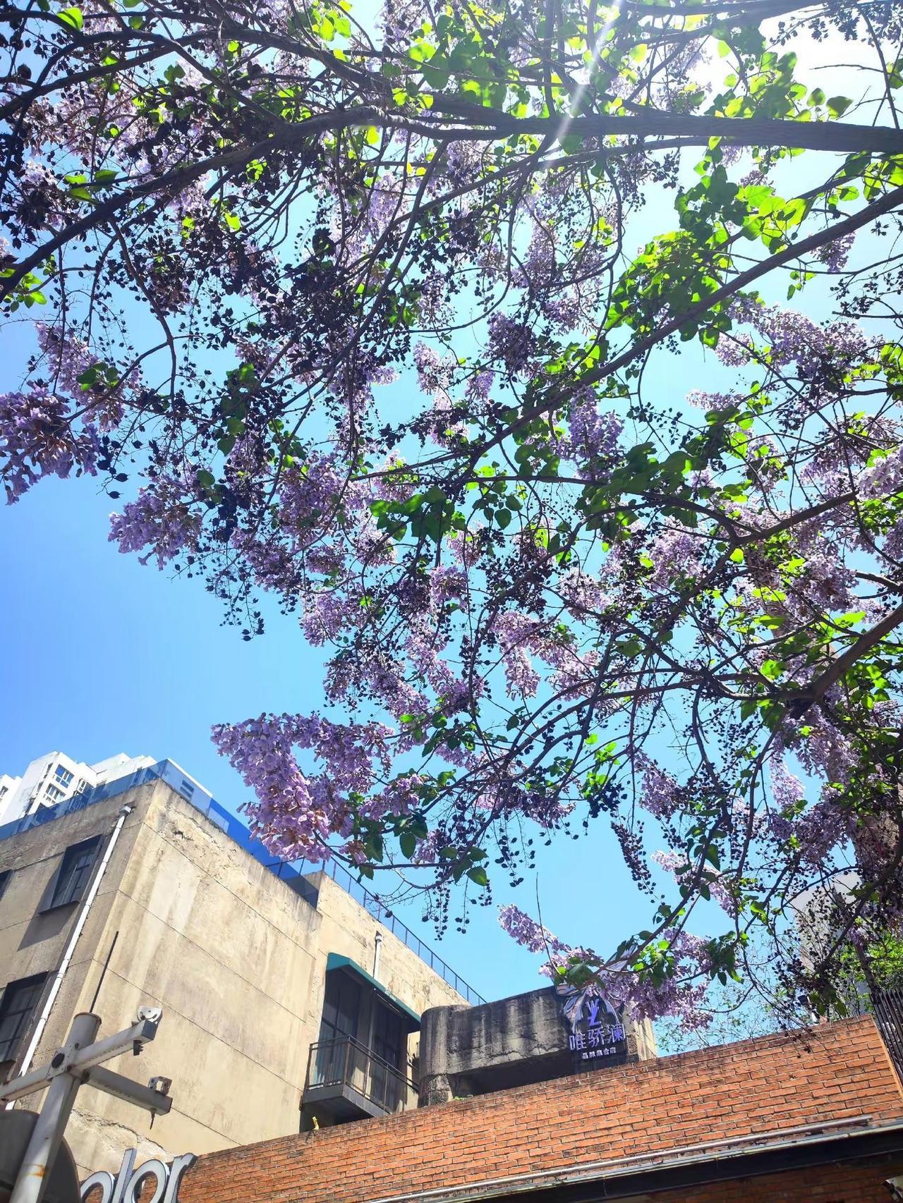 拍的是治愈生活的药。如果没有一点爱好，又拿什么治愈这疲惫又琐碎的生活，我拍的不是