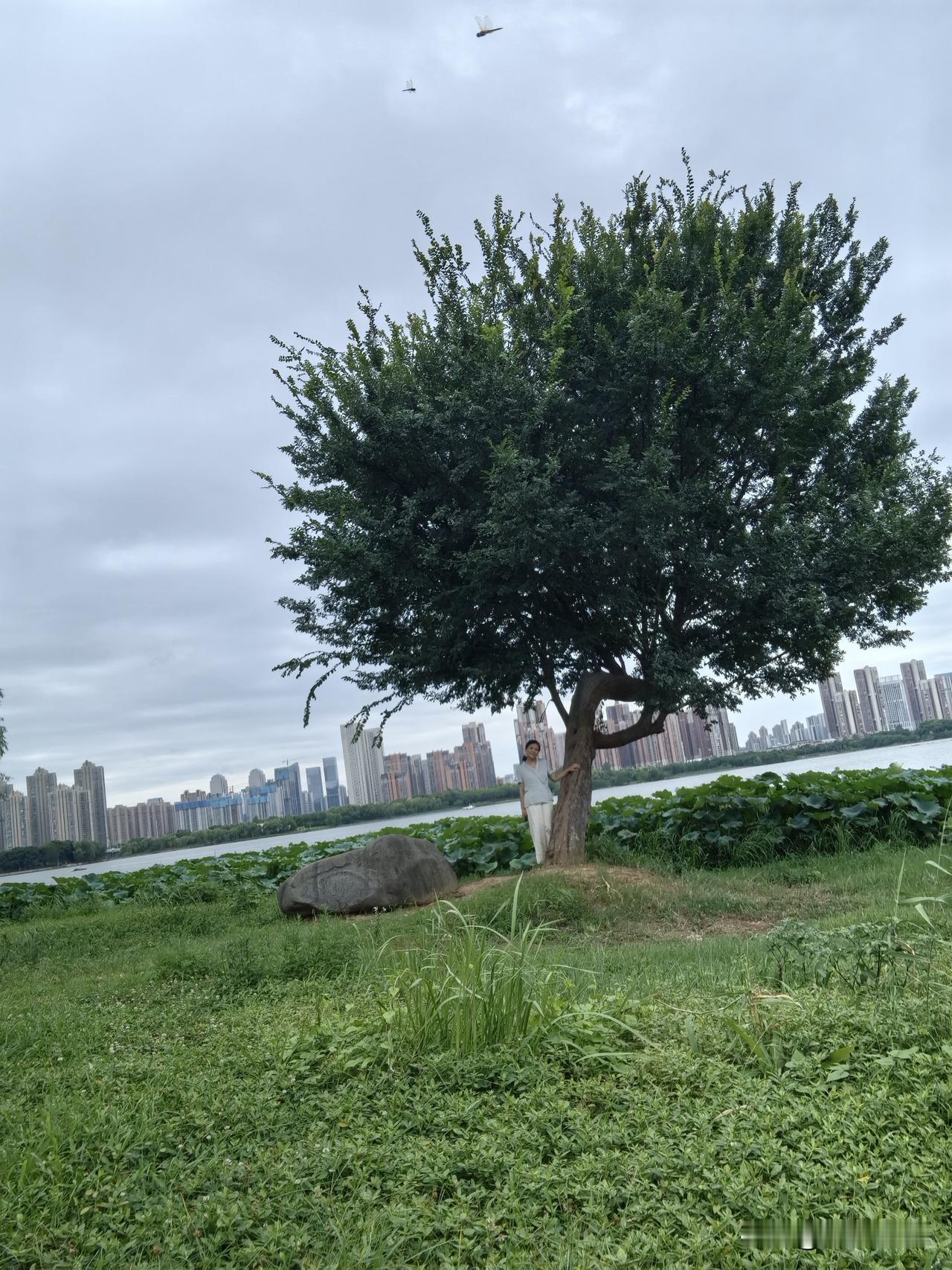 说如今全款买房的人增多了，房贷利息低是低了，但大家的日子也越来越精打细算了。不想