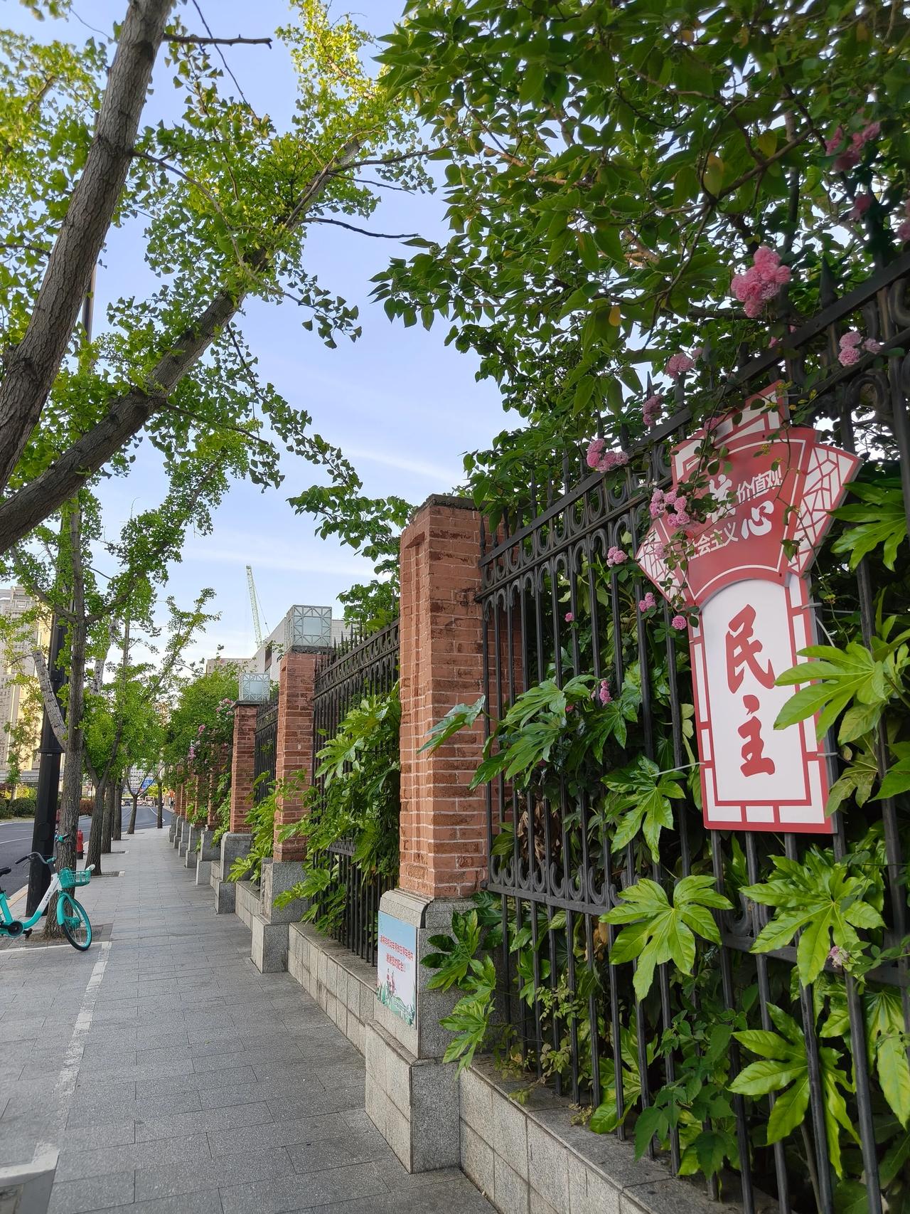 这两天天气不错！下班路上随手拍实景图分享！🌿🌿🌿🌿🌸🌸🌸🌸