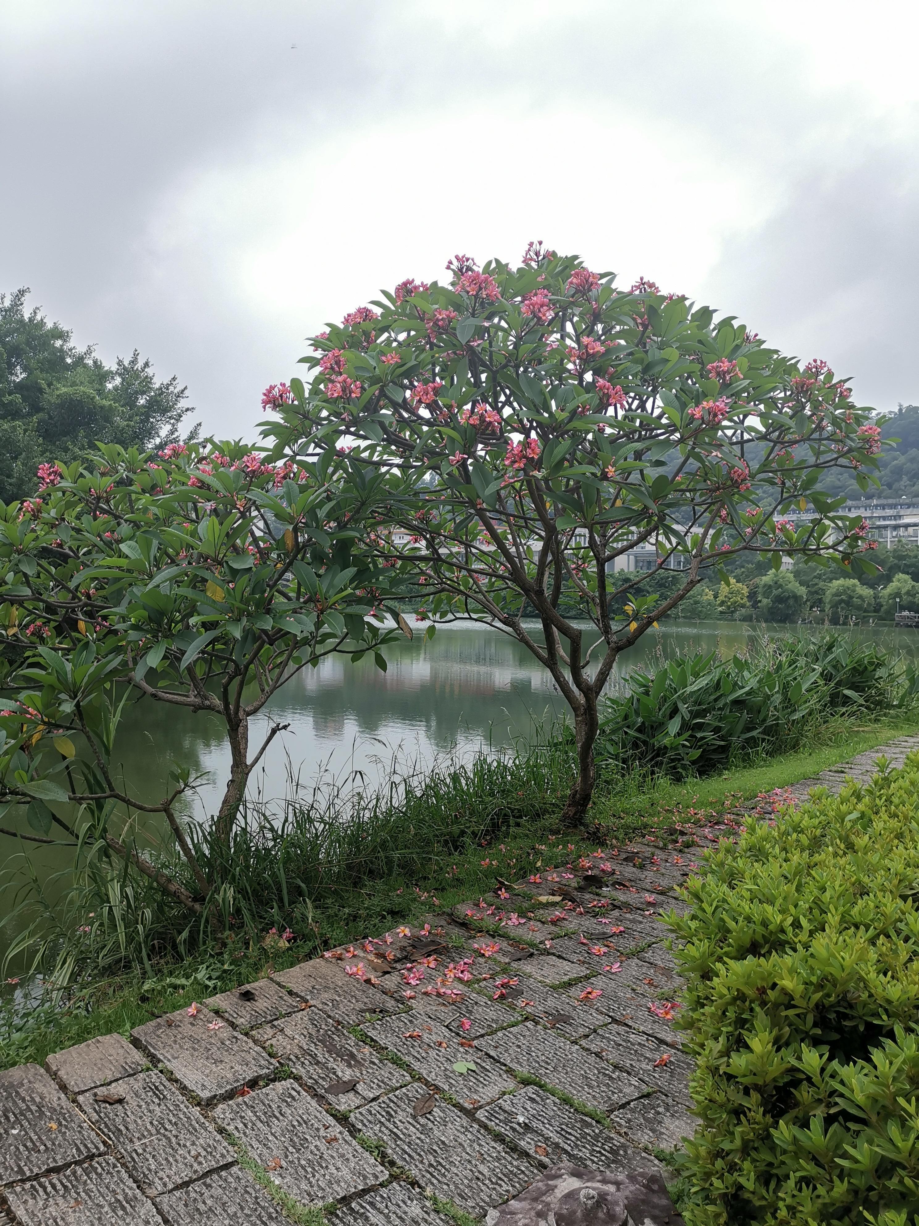 “二阳”来袭，做好这些事情，或能有效预防被新冠感染1、 戴好口罩新型冠状病毒感染