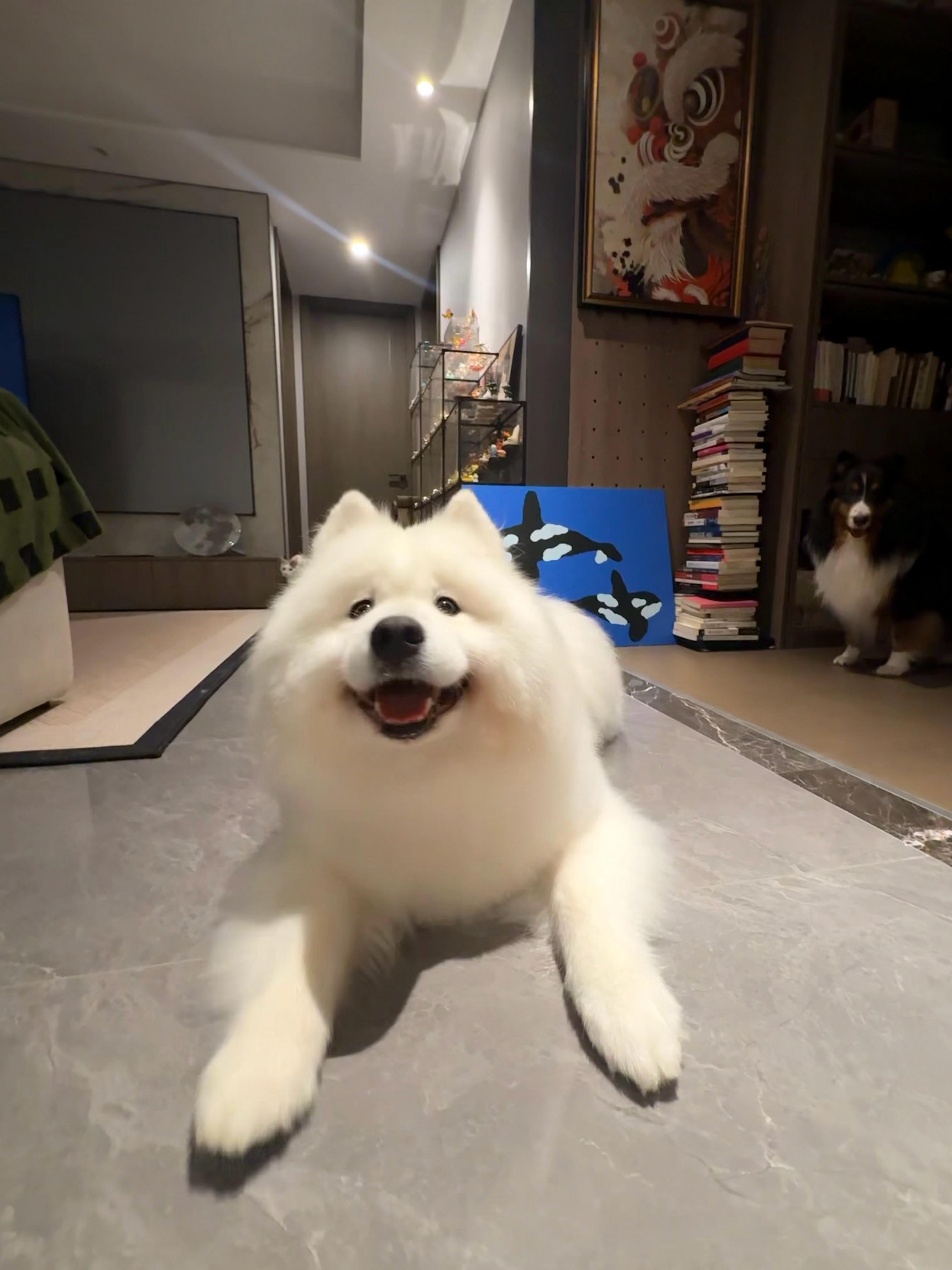 终于把袖子挽起来了！！真实腿长曝光！ ​​​