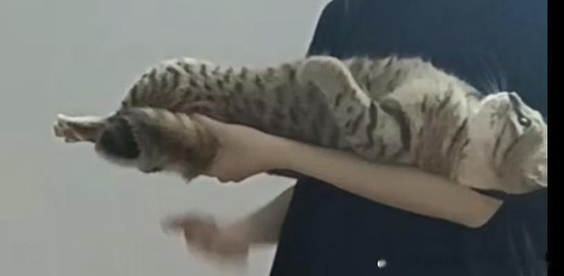 50414【心灵丑】不给抱就这样对我 