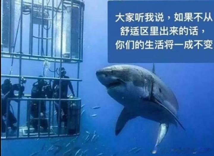 …后知后觉之每周日结束偶活都会产生强烈的「戒断反应」？！于是静坐复复复复盘——贪
