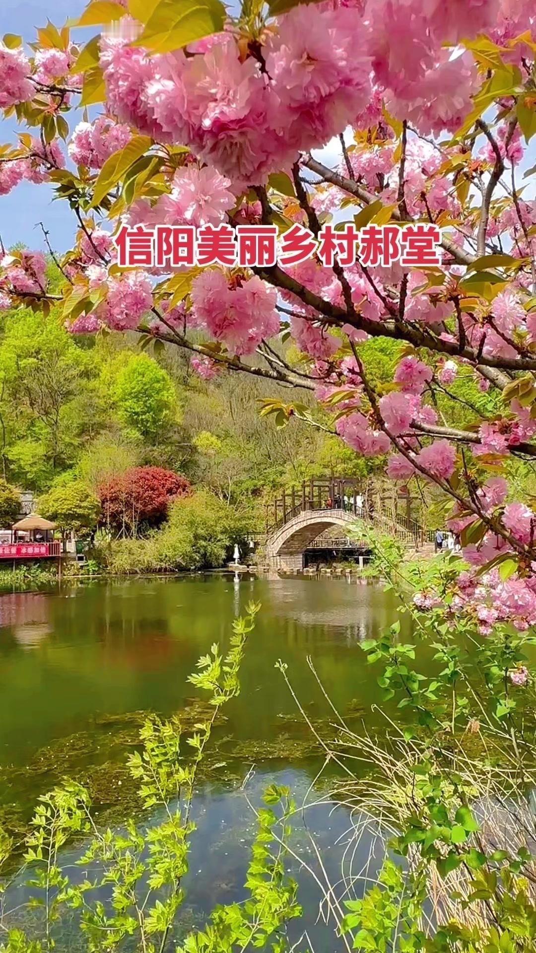 走进郝堂，就像闯入了一幅天然山水画卷里。青石板路蜿蜒，溪水潺潺流过，红瓦白墙的小