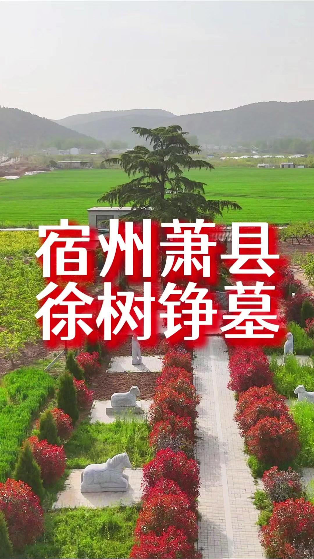 🗿宿州惊现收复外蒙将军墓！隐藏在符离大道西边的群山环抱中，紧邻皇藏峪，这座徐树