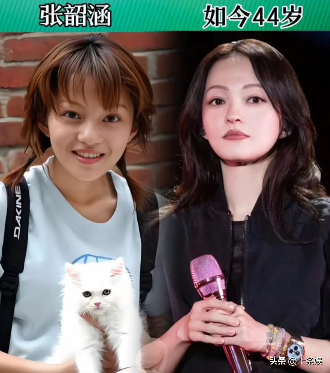 18位“来自台湾的”女明星 颜值对比明星 娱乐圈