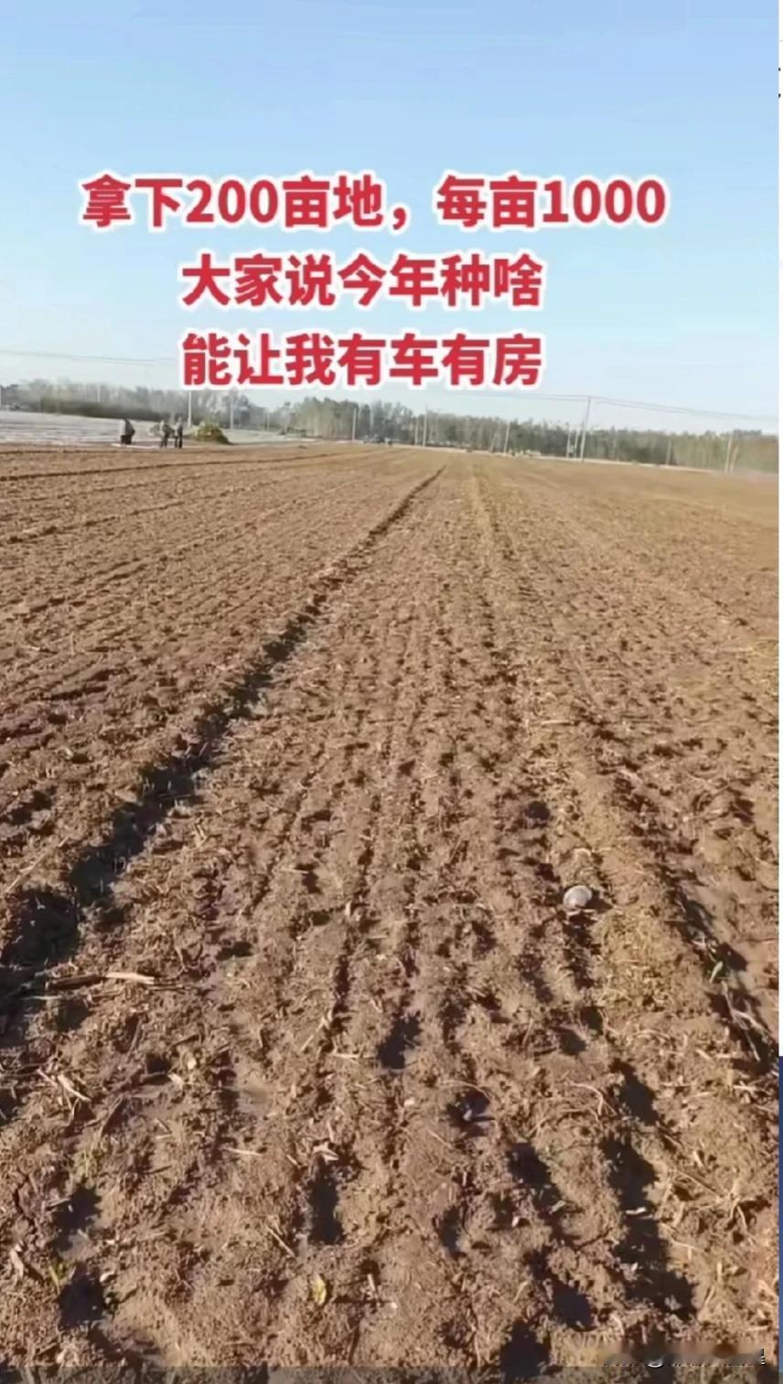 我的一个高中同学，在城里打了二十多年工，也没存多少钱。

近年来，由于年龄大了，