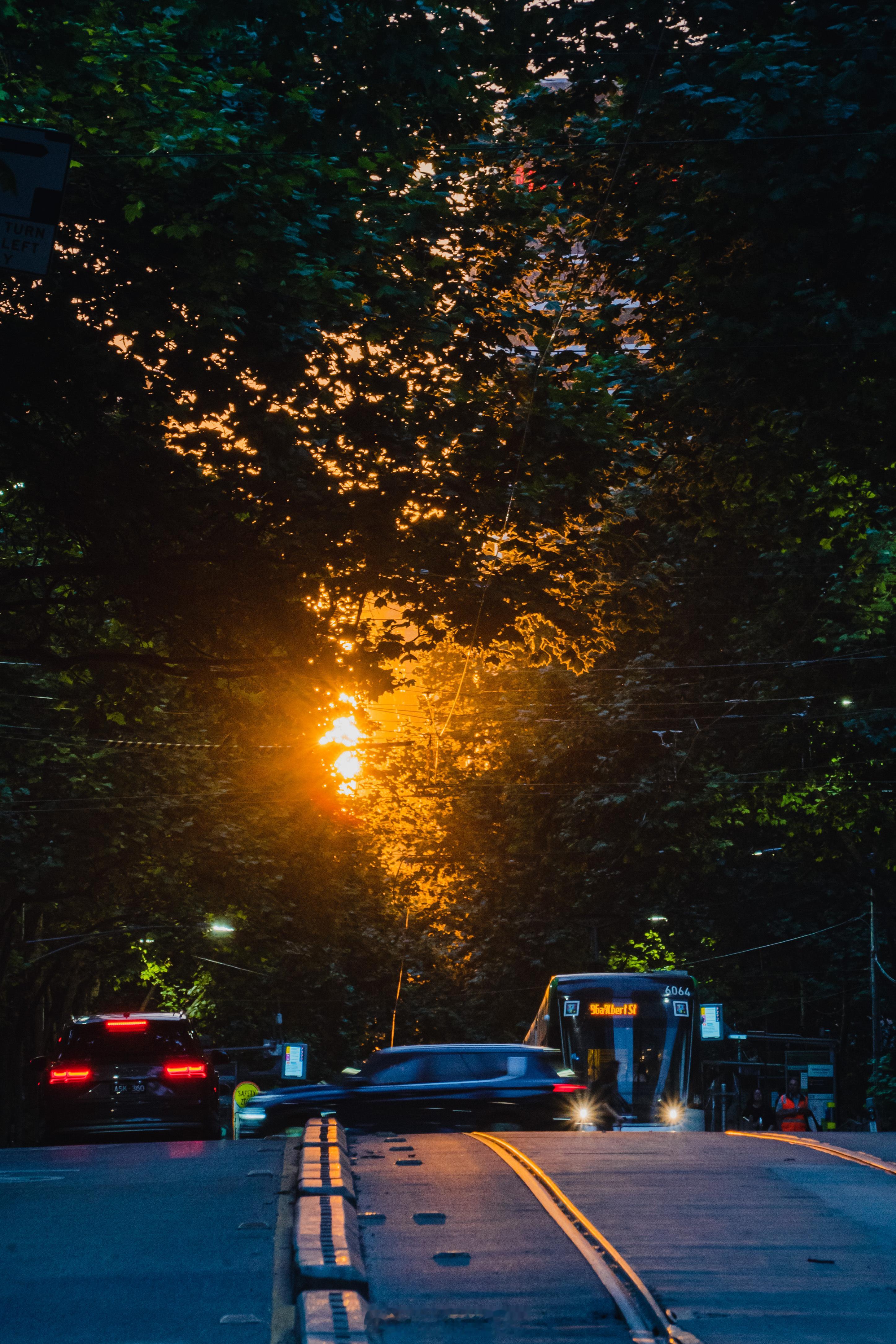 我一直都还会想起，在墨尔本闲逛的那几天#旅途光影#夕阳、电车、沙滩、钟楼，漫步这