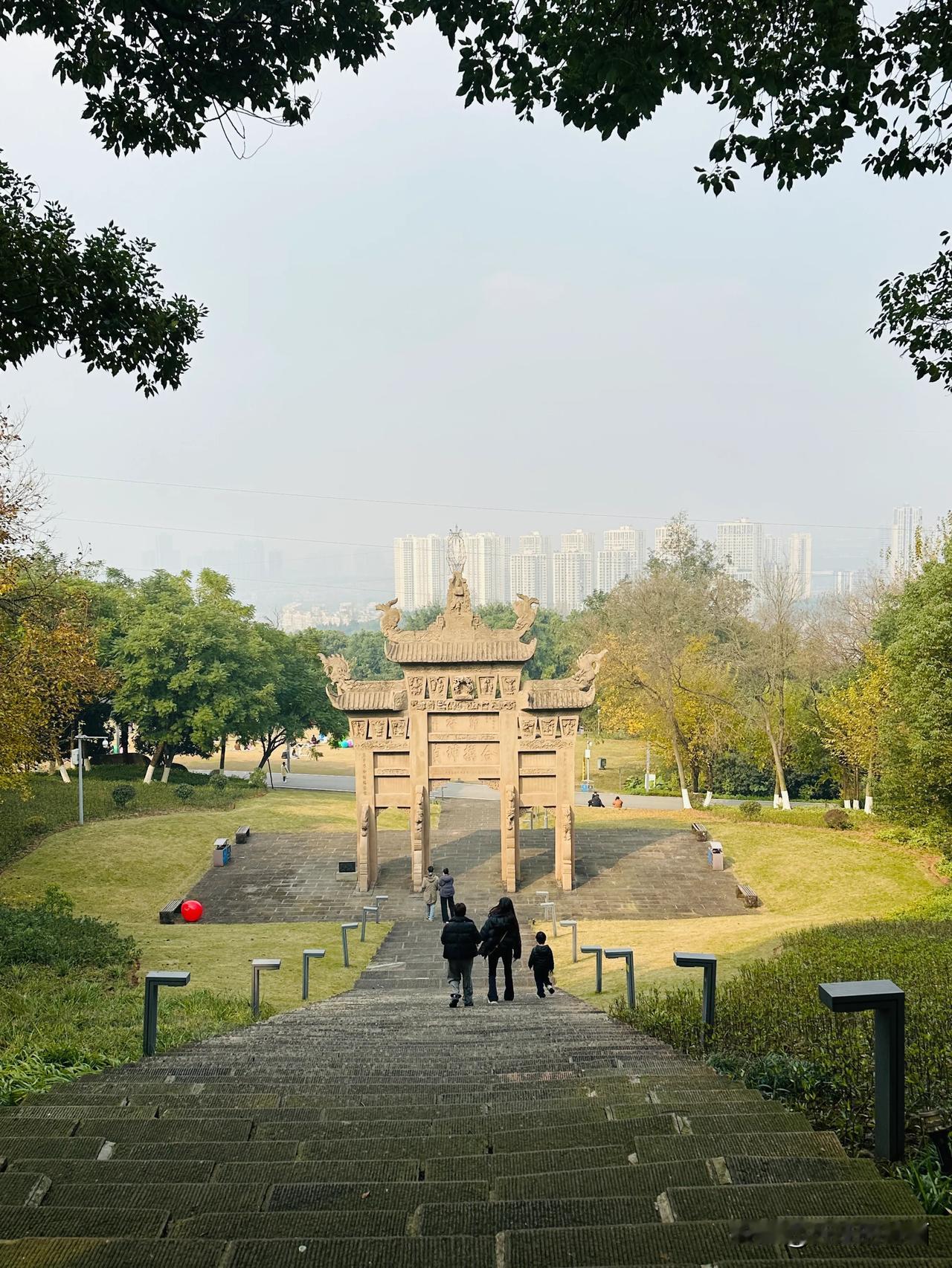 山城重庆，每个冬日的周末，只要有太阳，定是倾城出动，奔赴周边的山野，享受自然的清