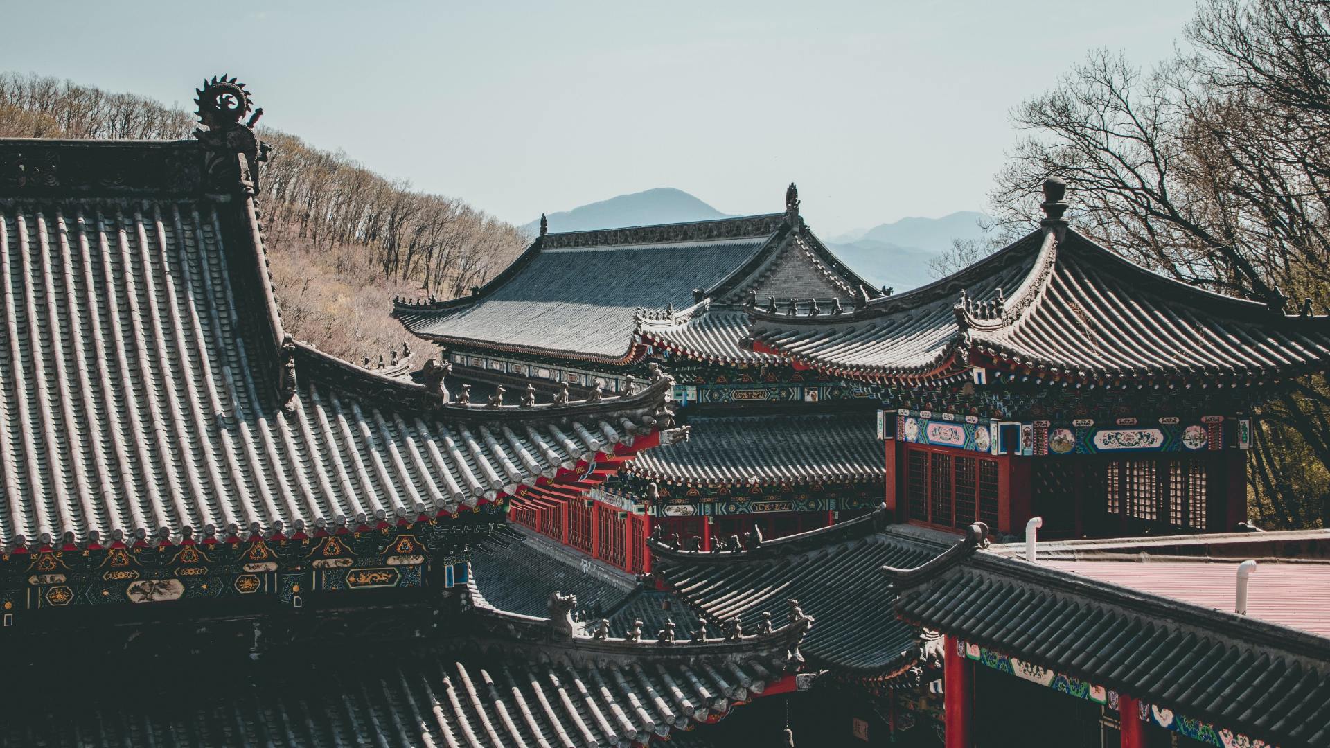 我也是那一年才知道，为什么咱们这庙多：因为人生需要解决的问题真多，一个神明，不够