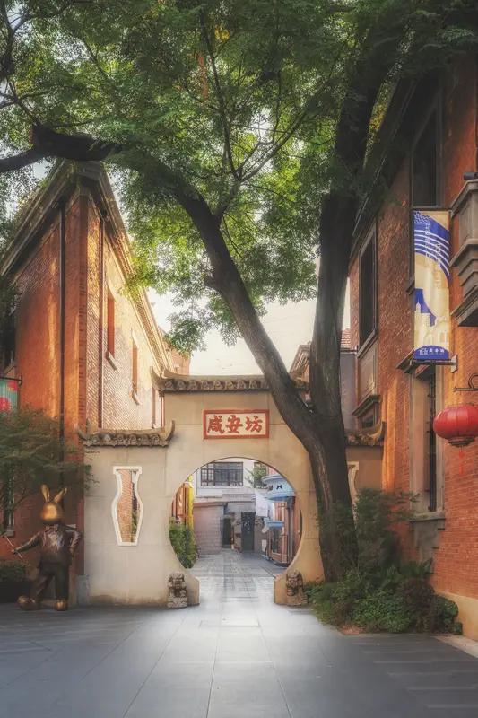 美国游客在走访并亲身深入体验后称，中国在各个方面都比美国更为进步、强大，要是所有