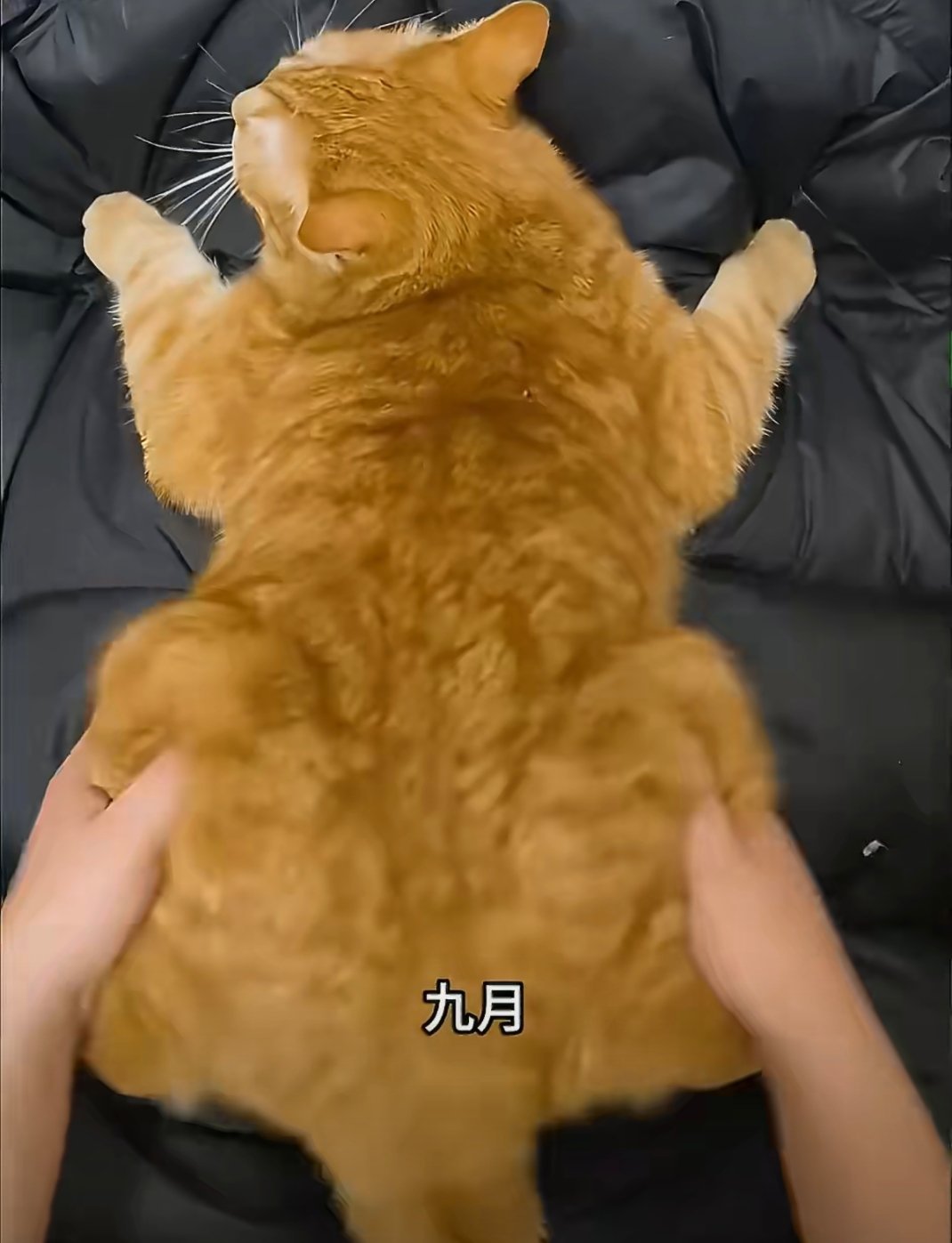 你在干什么！ 