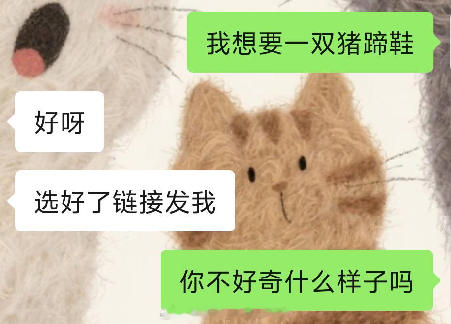 我很确定他根本不知道什么叫猪蹄鞋！ 