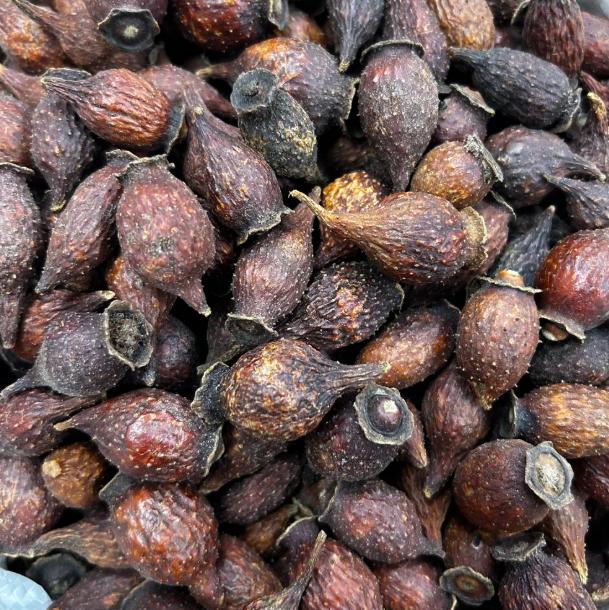 不是那非，也不是鹿茸！它才是阳痿早泄的佼佼者，找回年轻状态。

大家好，我是中医