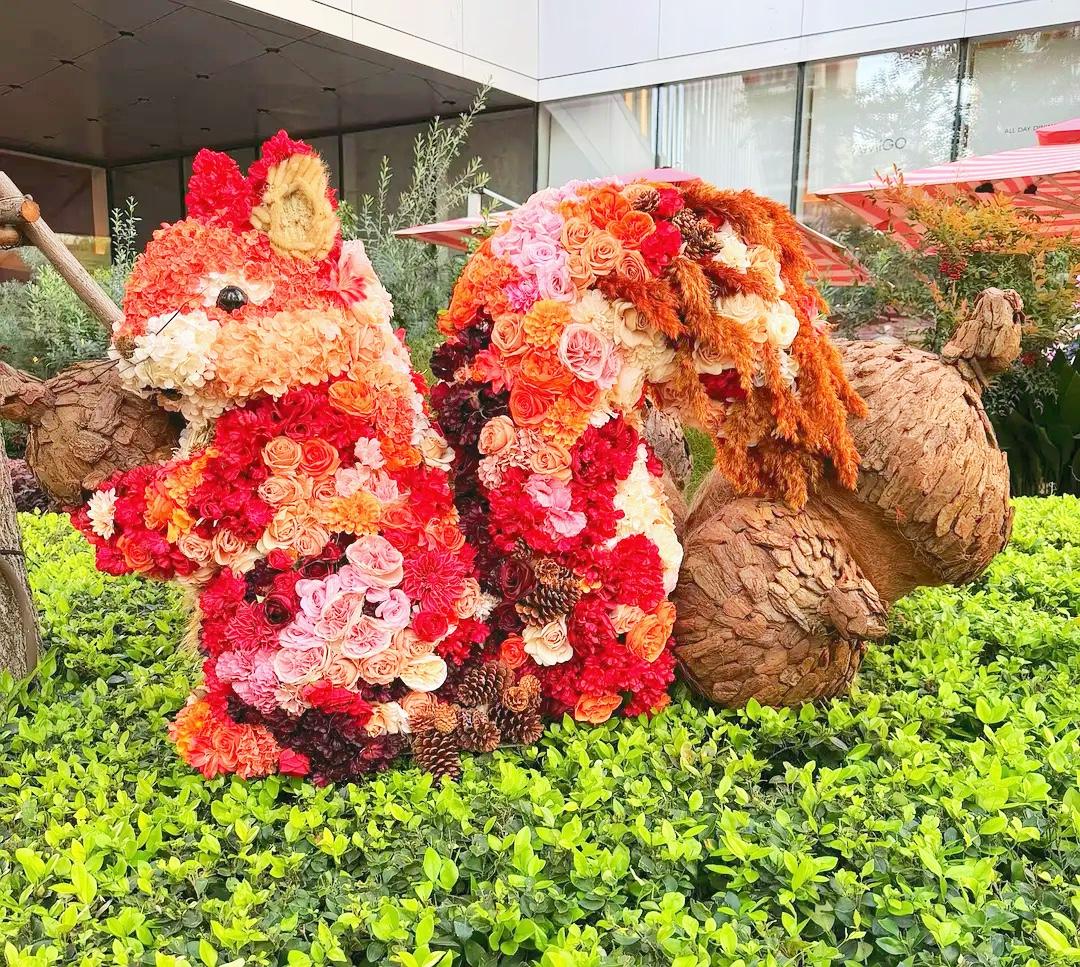 一位老中医说：
"最顶级的养生，
其实是懒。

懒得多想，懒得计较，
懒得攀比，