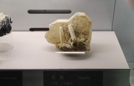 中国在西藏又有了大发现！
 
据香港《南华早报》报道，咱们在西藏找到了大量的淡色