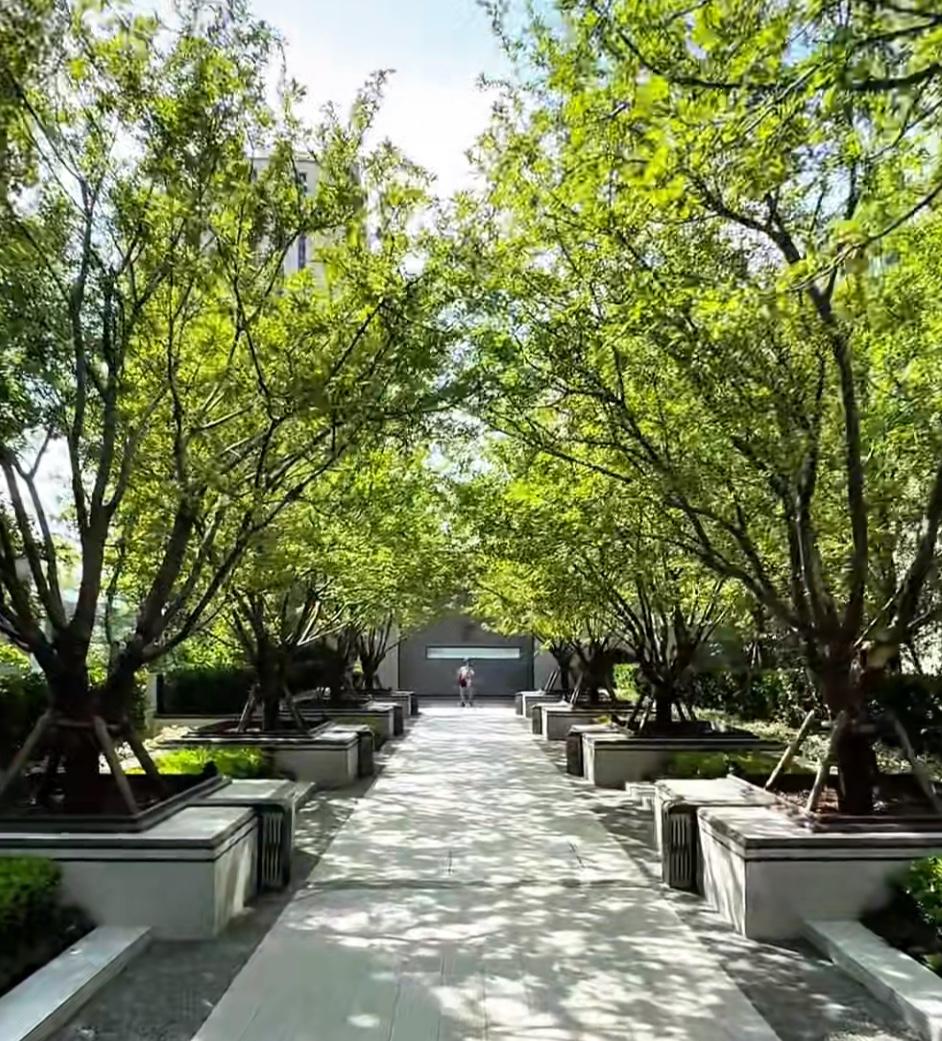 昨日（3月1日），北京二手房看房人数炸裂，小阳春这就开始了？

时间的指针刚刚迈