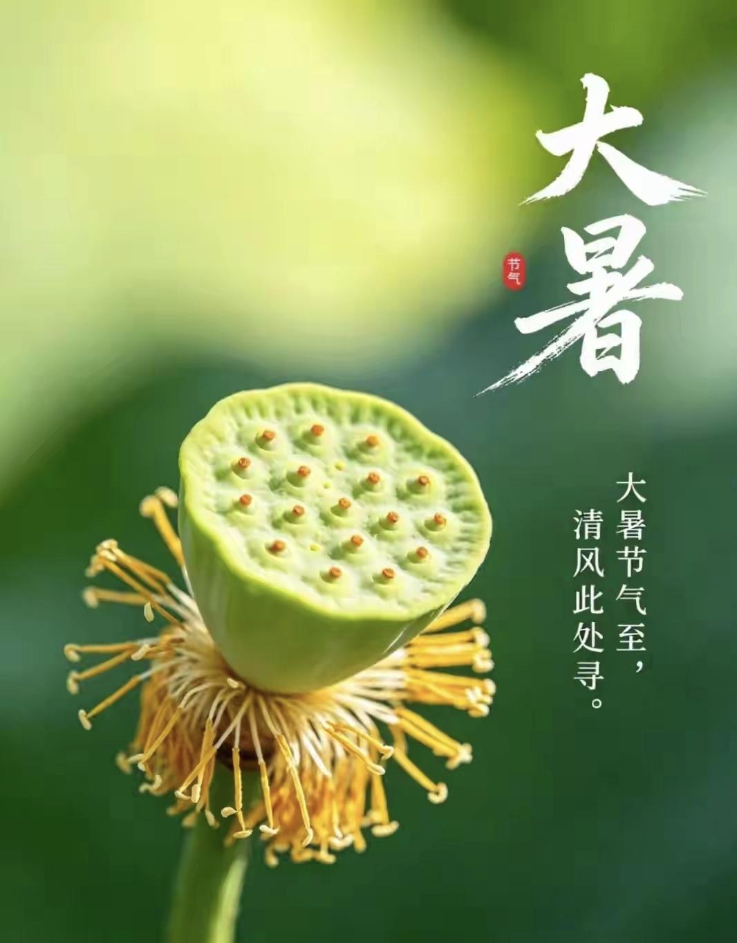 大暑

​蝉声都有了温度
​煮沸了清静如水的心
​每年我都在烦躁中突围
带着一身