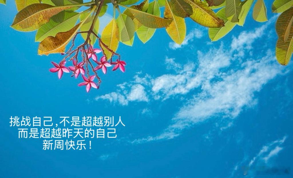 挑战自己，不是超越别人，而是超越昨天的自己。新周快乐！ 泰国·枫叶酒店(Mapl