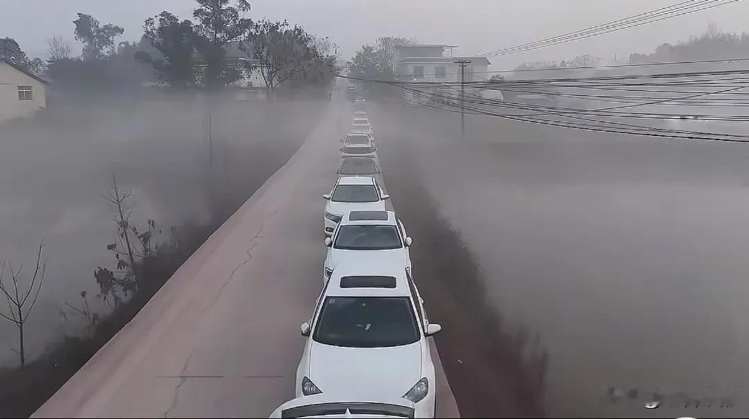 近日，合川一条“请人按猪吃刨猪汤”的视频，引来千人驱车奔赴，十万网友云端围观。这