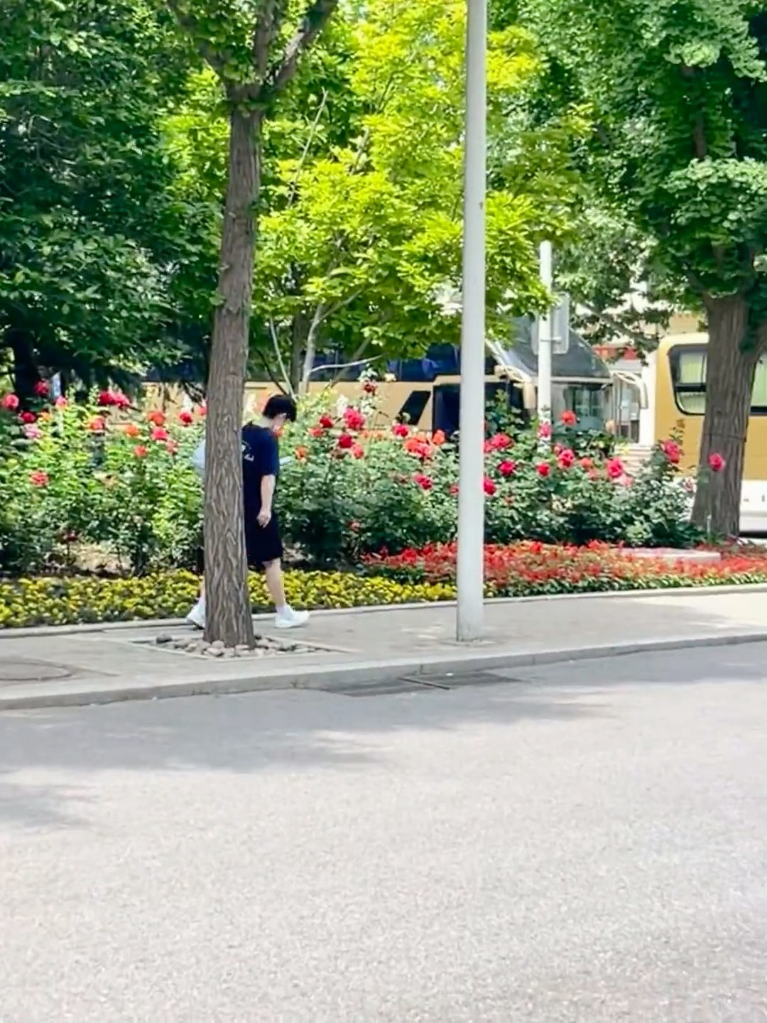上训的莎莎