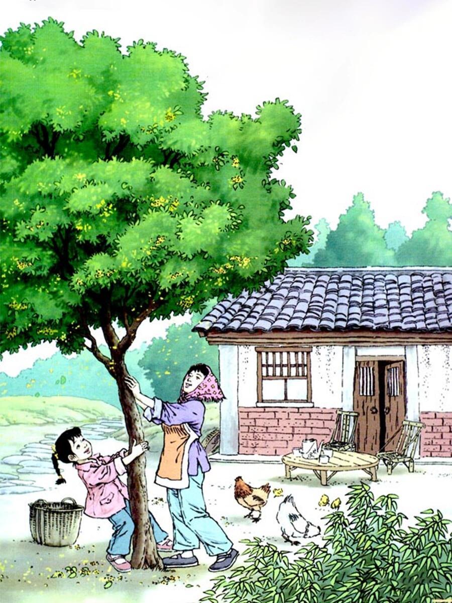 这里有你向往的生活吗？ ​​​