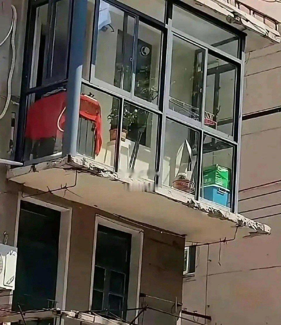 这么蠢的邻居让我遇上了 