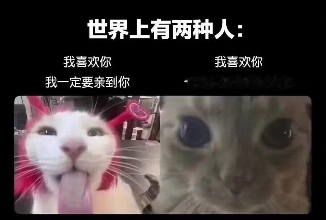 我是第二种今日memesfunny memememe
