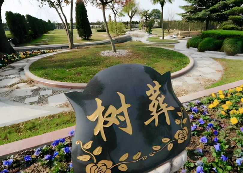 新的殡葬制度将于 2026 年 3 月 30 号执行，大概意思就是：一切从简，城