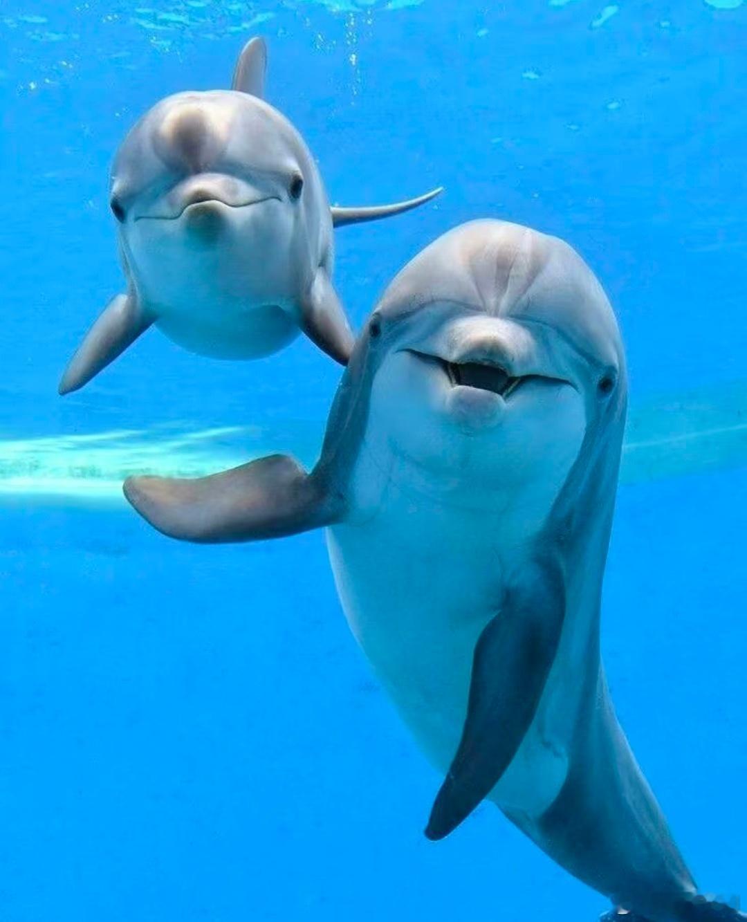 早安，周四愉快！接好运…… 