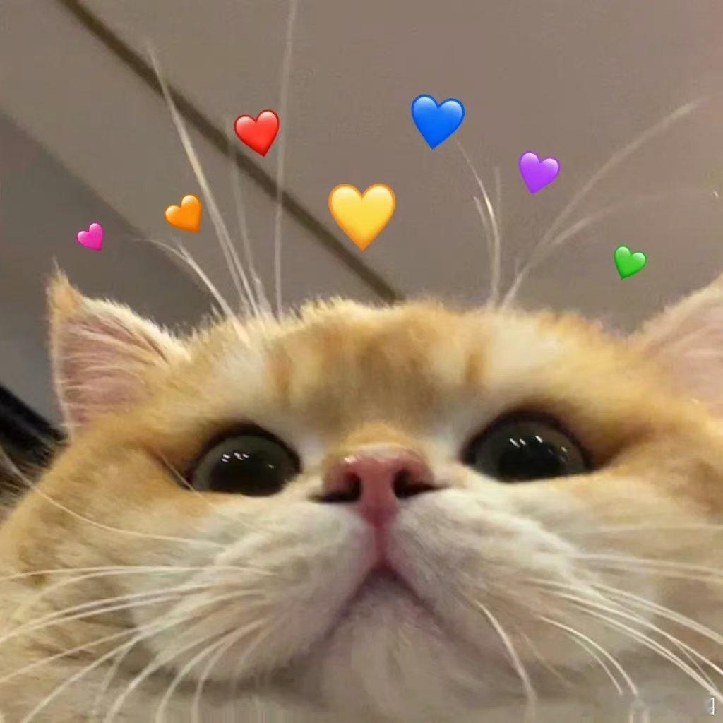 #打工人午睡姿势能有多奇葩#居然有这么多奇葩的姿势，也是很佩服大家的脑洞 ​​​