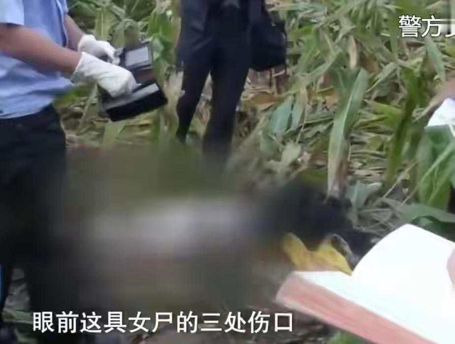 吉林玉米地血案惊魂：一句“馋我身子”引爆杀机，出轨妻子联手情夫构陷丈夫，真相背后