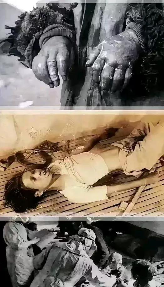把活人当配种工具，三千多条命被活活玩死。​
每一行都是真实。​
731 那帮人把