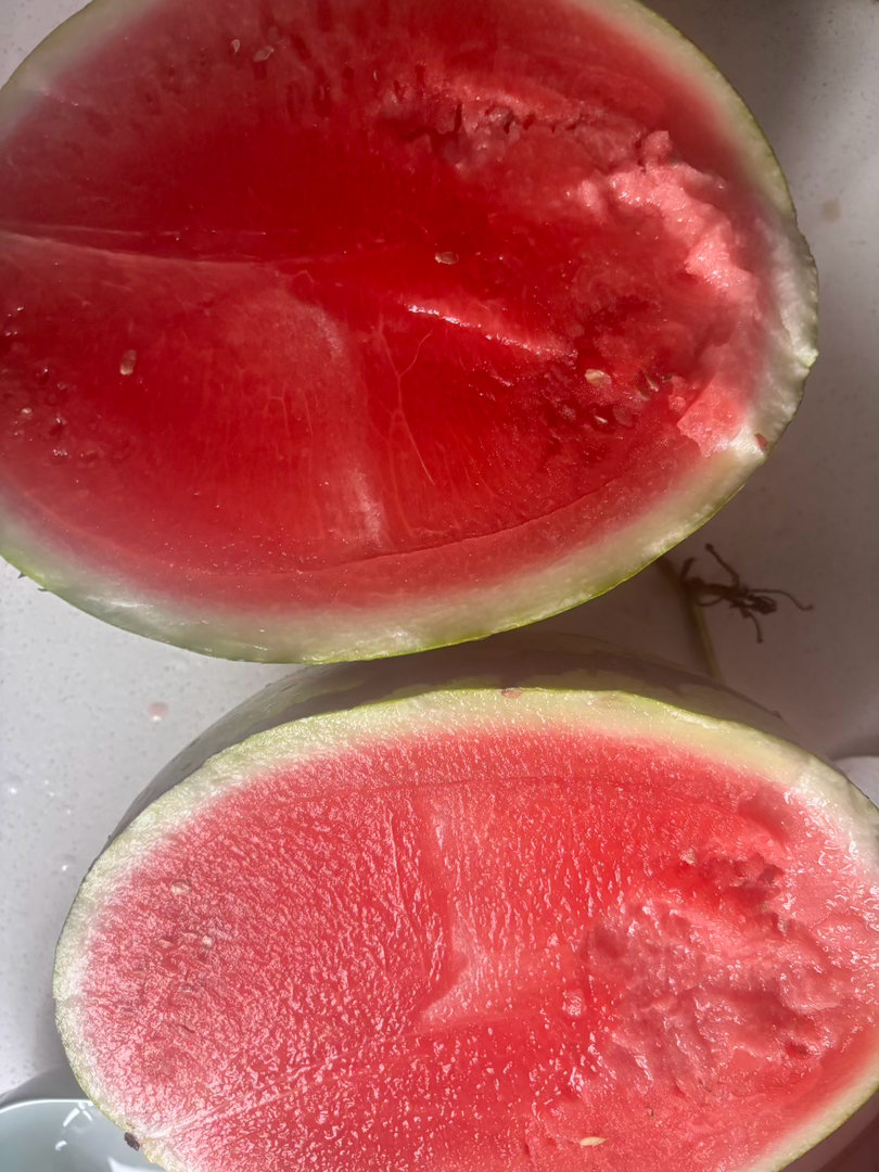 梦中情瓜🍉 