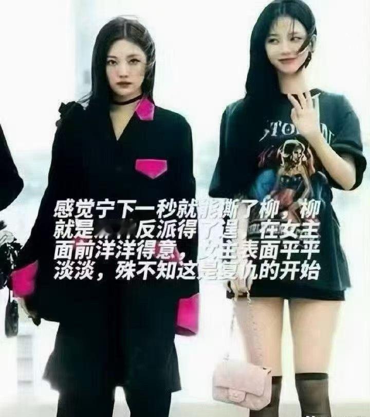 柳智敏殊不知这是复仇的开始 