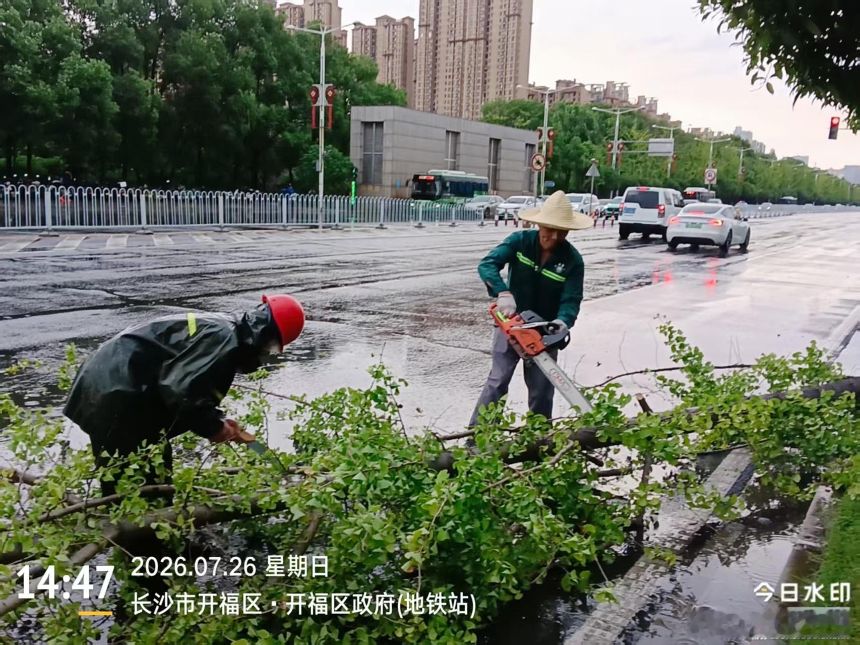 台风红霞来袭长沙城管在行动【逆风前行，长沙城管全力以赴筑牢安全防线】台风“红霞”