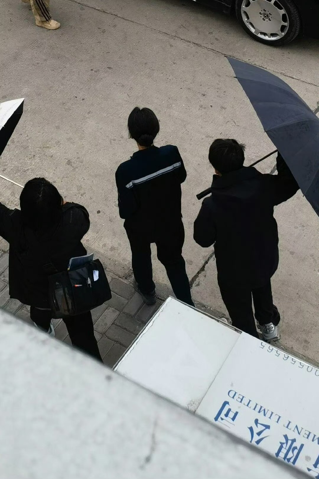 杨紫[超话]杨紫白菊背影路透杨紫生命树盘发背影路透杨紫这个背影好帅啊！[期待][